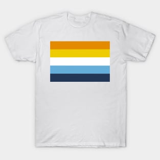 Aroace Pride Flag T-Shirt